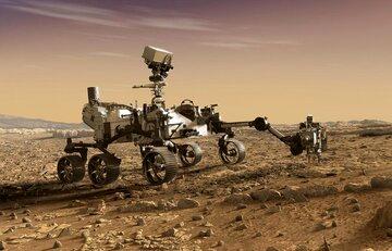 پیدا شدن آووکادو در مریخ! +عکس
