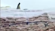 نابودی برنج‌های وارداتی زیر بارش سیل‌آسای زاهدان