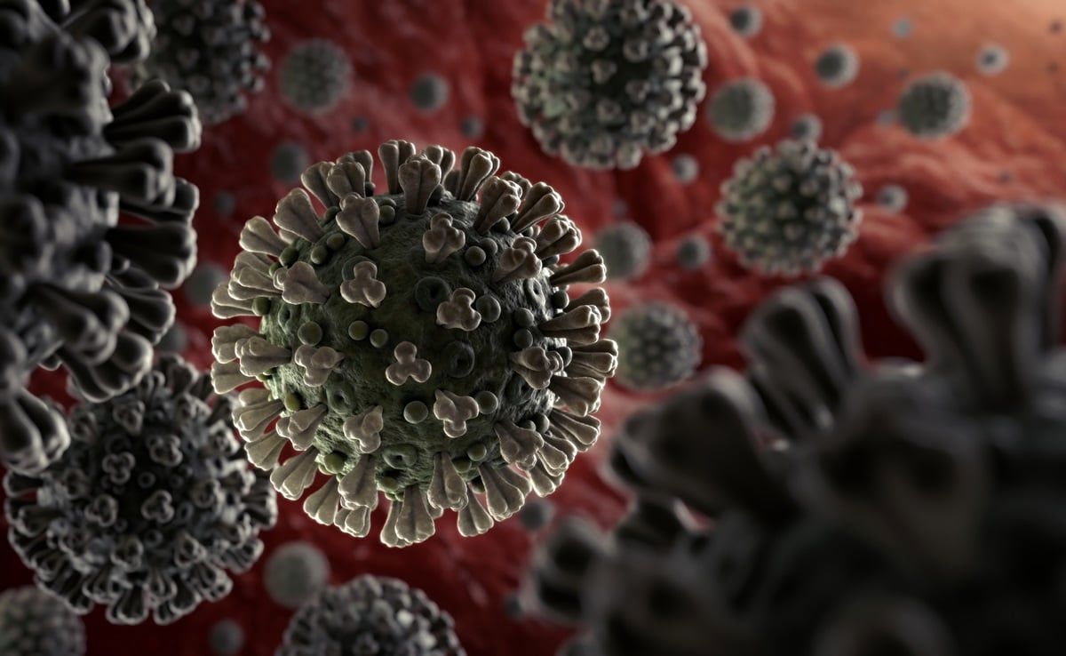 با خطرناک‌ترین و کشنده‌ترین ویروس‌های جهان آشنا شوید