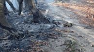 ۸ هکتار از جنگل‌های رودبار در آتش سوخت + عکس