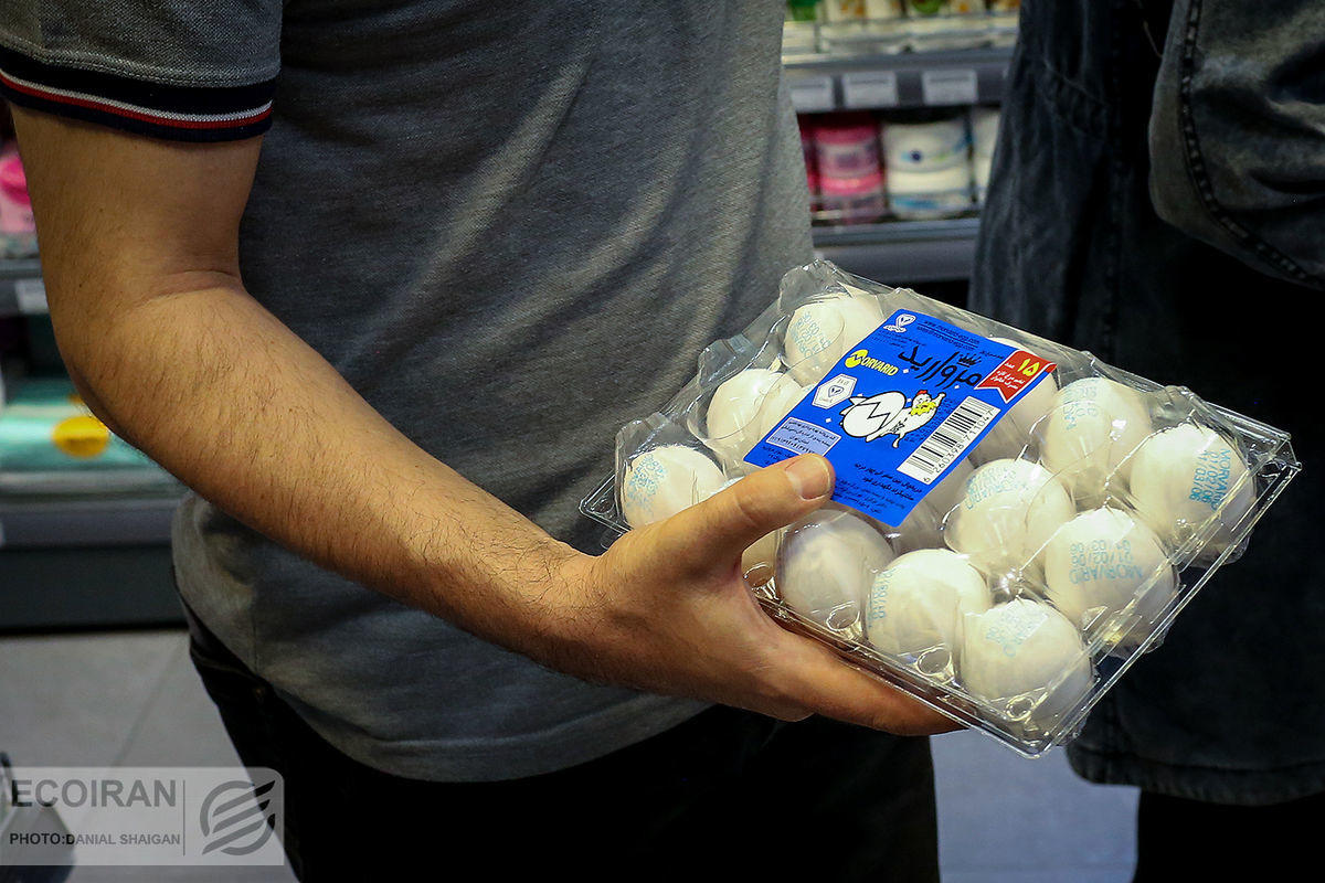 افزایش شدید قیمت تخم مرغ در بازار | هر شانه تخم مرغ چند؟ 