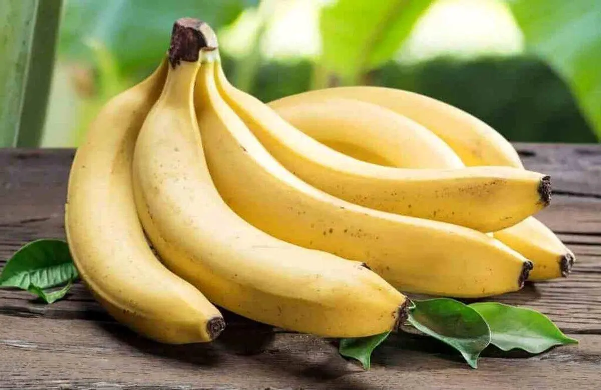 میوهای که مصرف آن چشمها را تقویت میکند