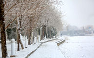 در تهران چند سانتی متر برف آمد؟