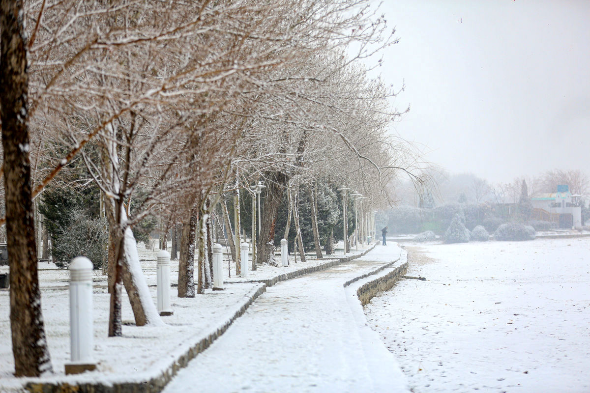 تهران یخ می زند