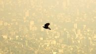تهران؛ هم اکنون آلوده‌ترین شهر جهان!