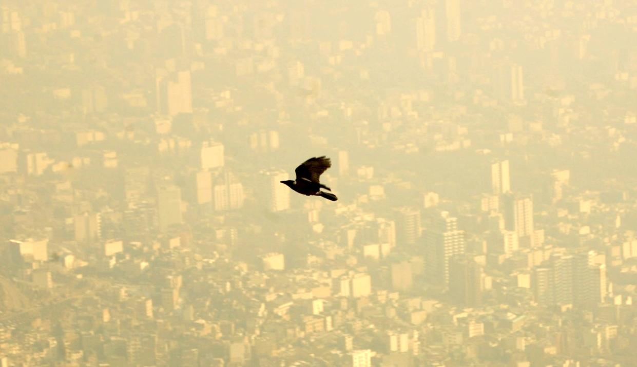 نسخه رمانتیک شهرداری برای آلودگی هوا: عاشق شوید، ماشین نیاورید 
