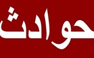 قاتل اینستاگرامی دستگیر شد/ قتل فجیع در تهران