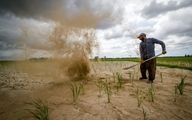 بحران خشکسالی در 16 استان کشور 