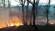 آتش سوزی جنگل های مازندران مهار شد