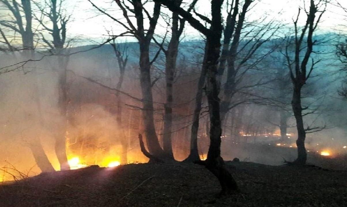آتش سوزی جنگل های مازندران مهار شد