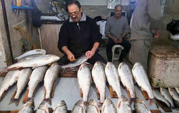 خوردن ماهی با این مواد غذایی ممنوع!