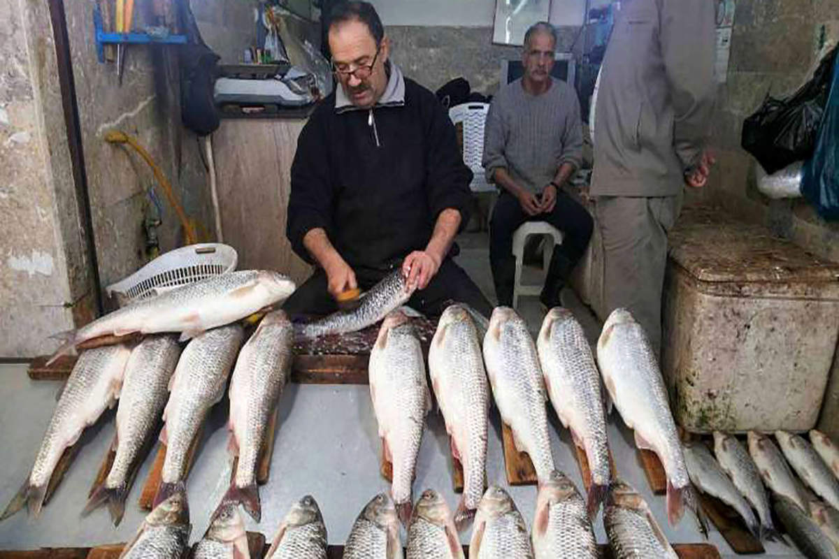 خوردن ماهی با این مواد غذایی ممنوع!