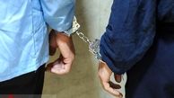 دستگیری اعضای باند آدم ربایی متشکل از اتباع خارجی در شهرستان فیروزکوه