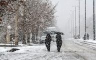 بارش غیر منتظره برف در یزد! +فیلم