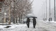 بارش غیر منتظره برف در یزد! +فیلم