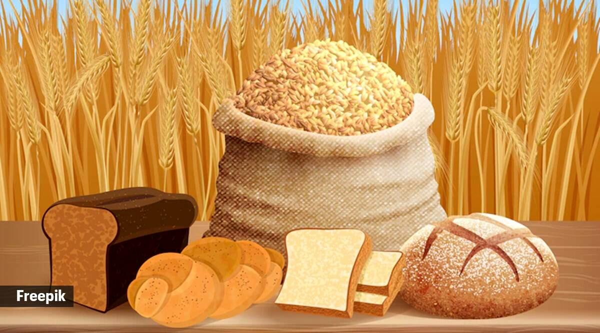 قیمت گندم تعیین نشد، آرد و نان کمیاب شد | گندم خوراک دام می‌شود؟