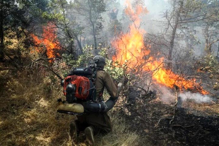 10 سال حبس برای عامل آتش سوزی جنگل‌های خفر