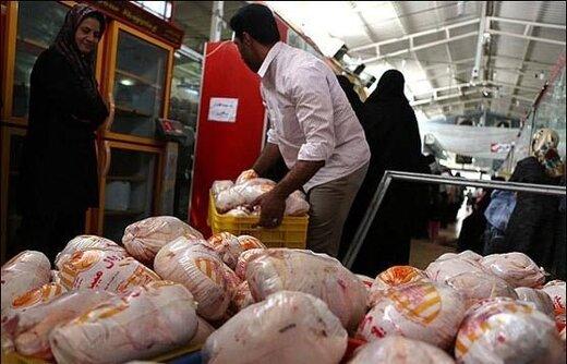 عرضه مرغ روسیه در بازار ایران/ واردکننده مرغ شدیم!