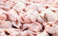 مرغ گران شد/ توزیع مرغ منجمد در بازار