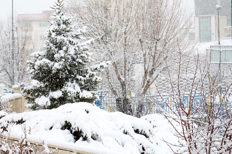 بارندگی در تهران تا کی ادامه دارد؟ | ثبت رکورد بارش نیم متری برف در ایستگاه آبعلی