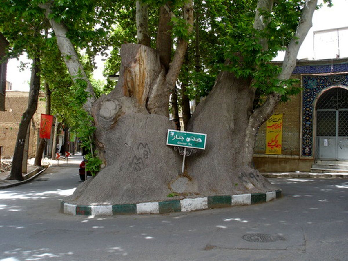 حادثه فجیع آزار جنسی به دو زن در شهرستان محلات توسط چند مرد / شهر بهم ریخت