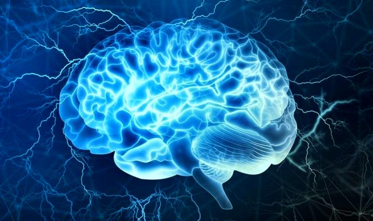 سن واقعی مغز شما چقدر است؟