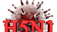 هشدار درباره شیوع ویروس کشنده‌ای که درمان ندارد | «H5N1» چقدر خطرناک است؟