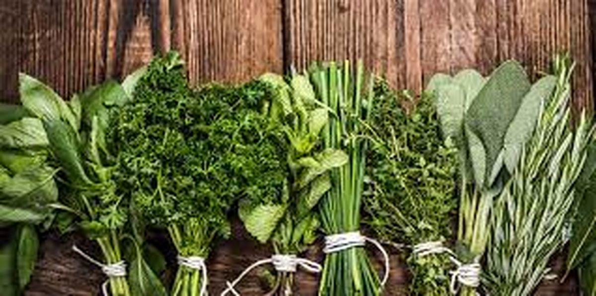 با مصرف این سبزی های فوق العاده بدنتان را سم زدایی کنید!