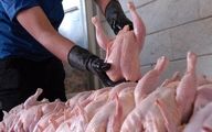 قیمت مرغ پرش ریخت | سود بازرگانی واردات مرغ حذف شد
