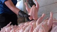 قیمت مرغ پرش ریخت | سود بازرگانی واردات مرغ حذف شد