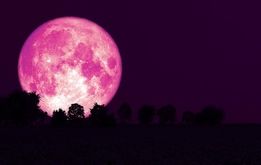 امشب ماه صورتی می‌شود؛ ماه چه ساعتی صورتی می شود؟ 
