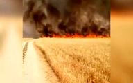 آتش‌سوزی گسترده در مزارع کشاورزی ایذه