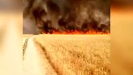 آتش‌سوزی گسترده در مزارع کشاورزی ایذه
