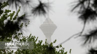 پیش بینی رگبار و وزش باد برای تهران