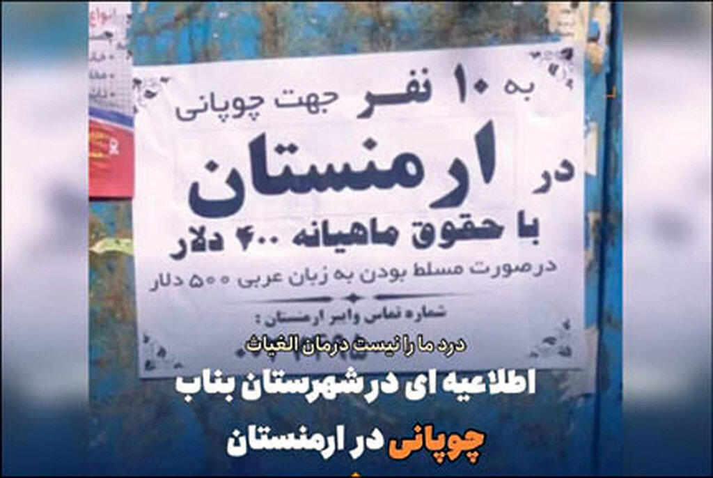  استخدام عجیب چوپانان ایرانی در ارمنستان با حقوق ۴۰۰ و ۵۰۰ دلاری