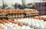 تخم‌مرغ، شانه‌ای ۷۶ هزار تومان | آخرین قیمت تخم مرغ در بازار