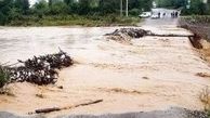 هشدار سیلاب و آبگرفتگی معابر عمومی در این مناطق