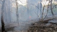 جنگل های مازندران در آتش سوخت
