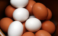 تخم‌مرغ قهوه‌ای با سفید تفاوتی دارد؟