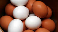 تخم‌مرغ قهوه‌ای با سفید تفاوتی دارد؟