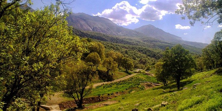 خزان دیرهنگام در جنگل‌های شمال نگران‌کننده شد