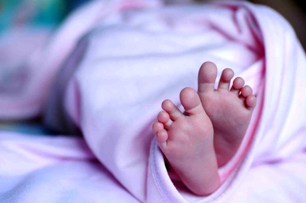 فروش نوزاد ۱۵ روزه به قیمت ۱۲۰ میلیون تومان! |کلاهبرداری که غیب می شدند