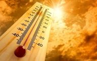 زمستان جهنمی شد؛ ژانویه  امسال گرم ترین ماه جهان بود

