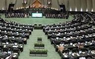 ورود مجلس به موضوع توله یوزپلنگ‌های ایران