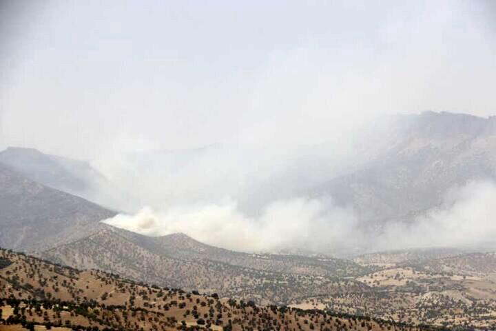 گسترش نگران کننده آتش‌سوزی در جنگل‌های پلدختر