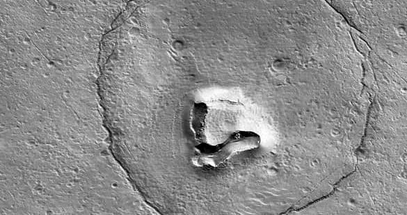 ناسا در مریخ خرس شکار کرد + عکس