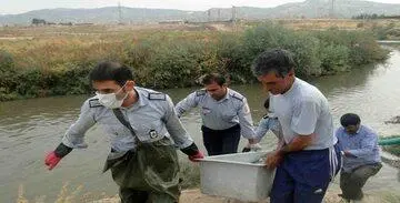 کشف یک جسد با هویت نامشخص