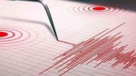خبر جدید از میزان خسارت زلزله خراسان جنوبی
