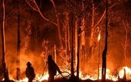 تصاویر آخرالزمانی از آتش‌سوزی جنگل‌های آرژانتین| فیلم