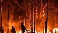 آتش‌سوزی جنگل‌های مریوان بعد از سه روز مهار شد!